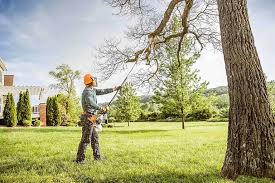 Best Arborist Consultation Services  in Dixon Lane Meadow Creek, CA